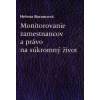 Monitorovanie zamestnancov a právo na súkromný život - H. Barancová