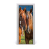 Samolepiace fototapety na dvere dva kone 75x205