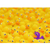 RAVENSBURGER Puzzle Challenge: Kačenky 1000 dílků