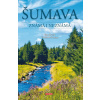 Šumava - Vladimír Soukup, Petr David