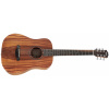 Taylor BTe-Koa