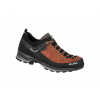 SALEWA Pánska treková obuv MTN TRAINER 2 GTX M autumnal/black - červená/hnedá Veľkosť EU: 42,5