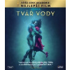 Tvář vody