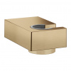 Hansgrohe Hansgrohe, držiak sprchy Porter E, kartáčovaný bronz, HAN-28387140