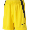 Puma teamLIGA Šortky Jr 704931 07 140 cm