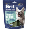 Brit Premium (VAFO Praha s.r.o.) Brit Premium by Nature Dog Dental Snacks L 250 g
