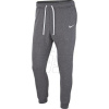 Tepláky Nike Team Club 19 FLC M AJ1468-071
