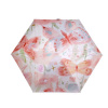 Stoklasa Dámský mini skládací deštník - 3 pudrovo-lososová motýl