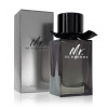 Burberry Mr. Burberry parfumovaná voda pre mužov 100 ml