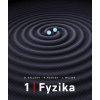 Fyzika 1,2 - David Halliday; Robert Resnick; Jearl Walker
