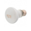 Repti Planet Žárovka Daylight Frosted 50 W