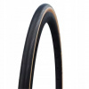 Schwalbe Lugano II 25-622
