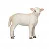 Mojo Jahniatko romney marsh stojace Mojo Jahniatko romney marsh stojace