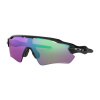 Oakley Radar EV Path oo9208-44