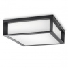 Philips 8719514385320 vonkajšie stropné svietidlo Skies 2x42W | E27 | IP44 - antracit