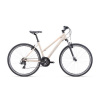 CTM MAXIMA 1.0 2025