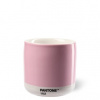Pantone Latte termo Cool Gray 210 ml
