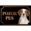 Bretónsky španiel - Kovová tabuľka POZOR PES
