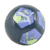 Futbalová lopta Puma Big Cat 84214 14