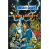 Blesky a šílenství - Zbyněk Dach