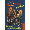 Poklad v pirátskej hrobke - Traja pátrači JUNIOR 5 - Ulf Blanck