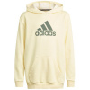 Adidas Badge of Sport Hoodie Jr HN8469 (109448) 164 cm