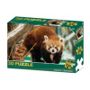 Lamps 3D puzzle Panda červená 100 ks