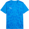 Dres Puma teamULTIMATE Jersey 706280-02 Veľkosť L