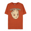 Marvel I am Grooten's Short Sleeved Regular Fit T-shirt Brown