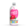 Absolute Live Power Fruit - granátové jablko 750ml