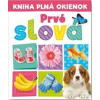 Kniha plná okienok - Prvé slová - Burgess, Pooja Desai Andrew