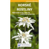 Horské rostliny