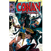 Conan The Barbarian: The Original Marvel Years Omnibus Vol. 8
