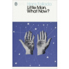 Little Man, What Now?