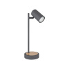 GLOBO 57910TG ROBBY stolová lampa 1x GU10