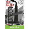 E-kniha Pod haldou - Vladimír Zlý