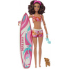 Barbie Surferka s doplnkami