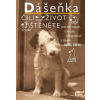 Dášeňka čili Život štěněte - Karel Čapek