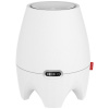 Boneco E200 zvlhčovač vzduchu 30 m² 1 ks; 81158