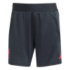 adidas Liverpool Training Shorts 2025 2026 Womens Black 14 (L)