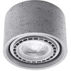 Sollux Lighting Basic stropné svietidlo 1x40 W sivá SL.0881