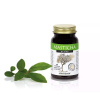 Masticha Active s probiotikom 50kapsul APOTHECARY