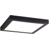 Paulmann Abia 70985 LED panel 22 W teplá biela čierna (matná); 70985