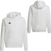 adidas Entrada 22 Hoody Jr HG6303