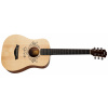 Taylor TS-BTe