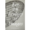 For an Ecology of Images