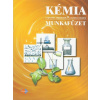 Pracovný zošit z chémie pre 9. ročník ŠZŠ s VJM (vyučovací jazyk maďarský) (Leontína Glatzová)