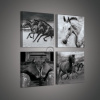Obraz na plátne viacdielny - OB2980 - Kone čierno biely 50cm x 50cm - S20