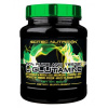 Scitec Nutrition L-Glutamine 600 g