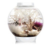 BiOrb Classic biele MCR - RGB 2020 15 l